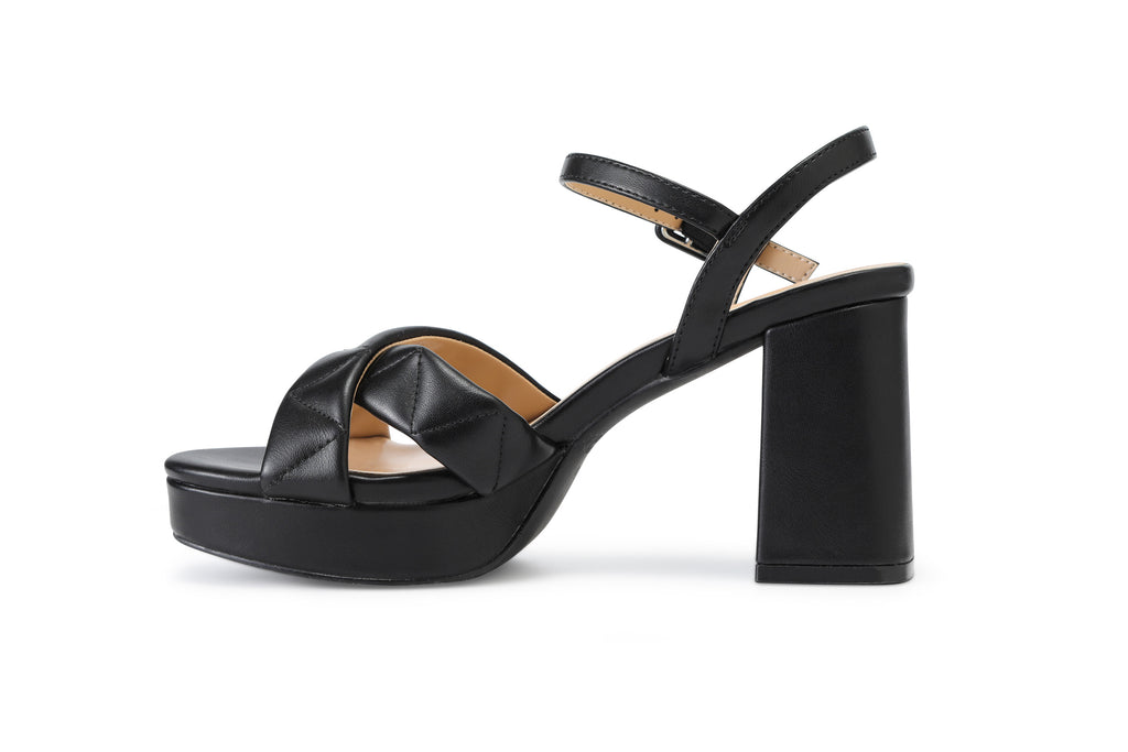 ARIANNA Platform Wedge