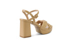 ARIANNA Platform Wedge