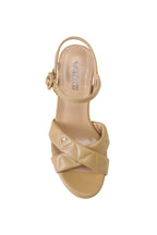 ARIANNA Platform Wedge