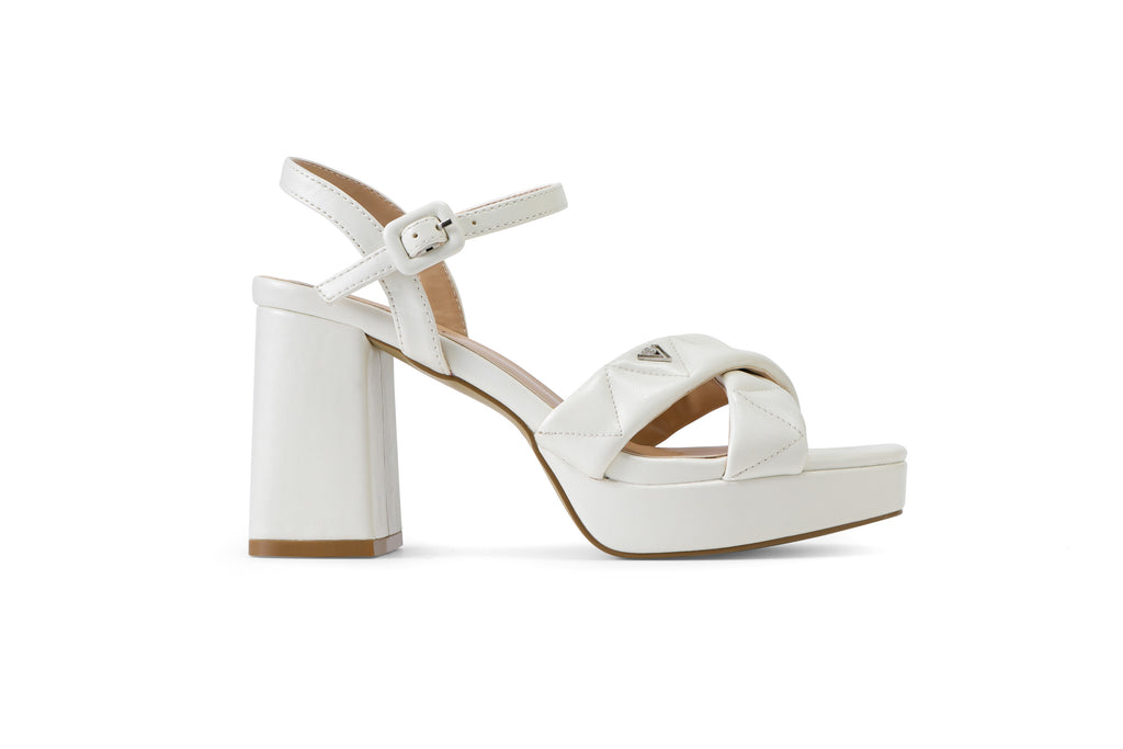 ARIANNA Platform Wedge