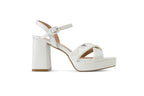 ARIANNA Platform Wedge