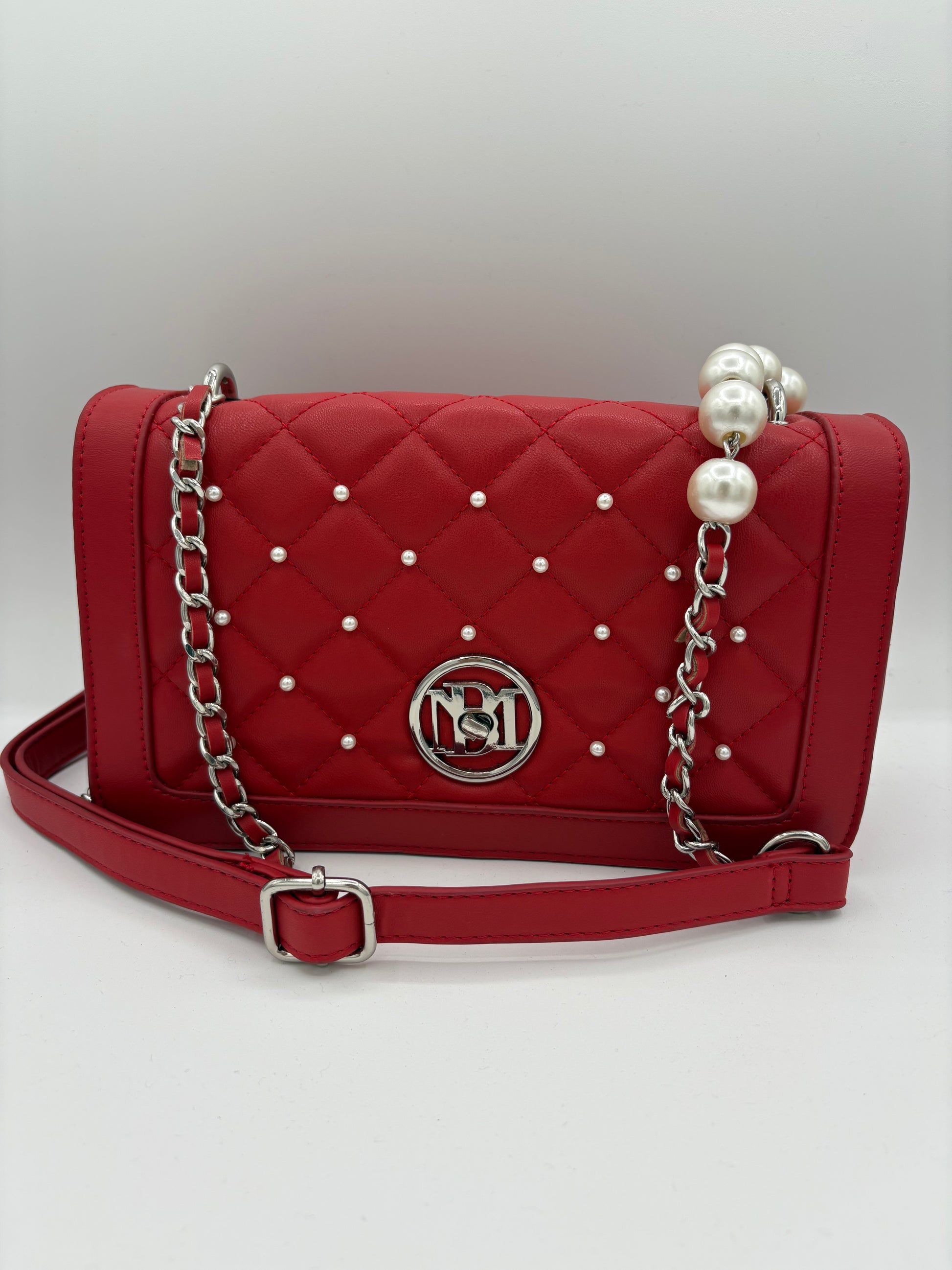 Badgley Mischka Large Crossbody Bag