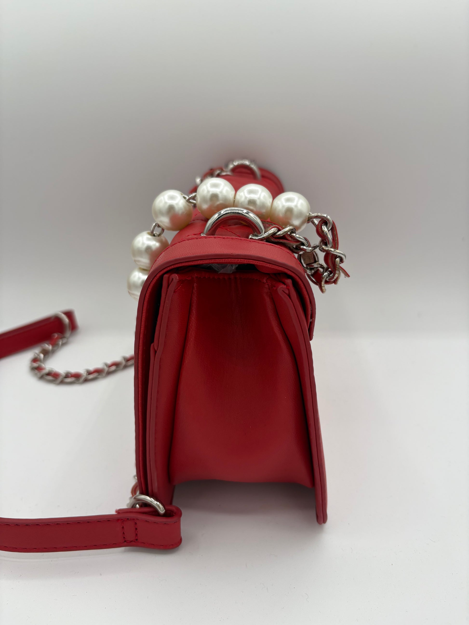 Badgley Mischka Large Crossbody Bag