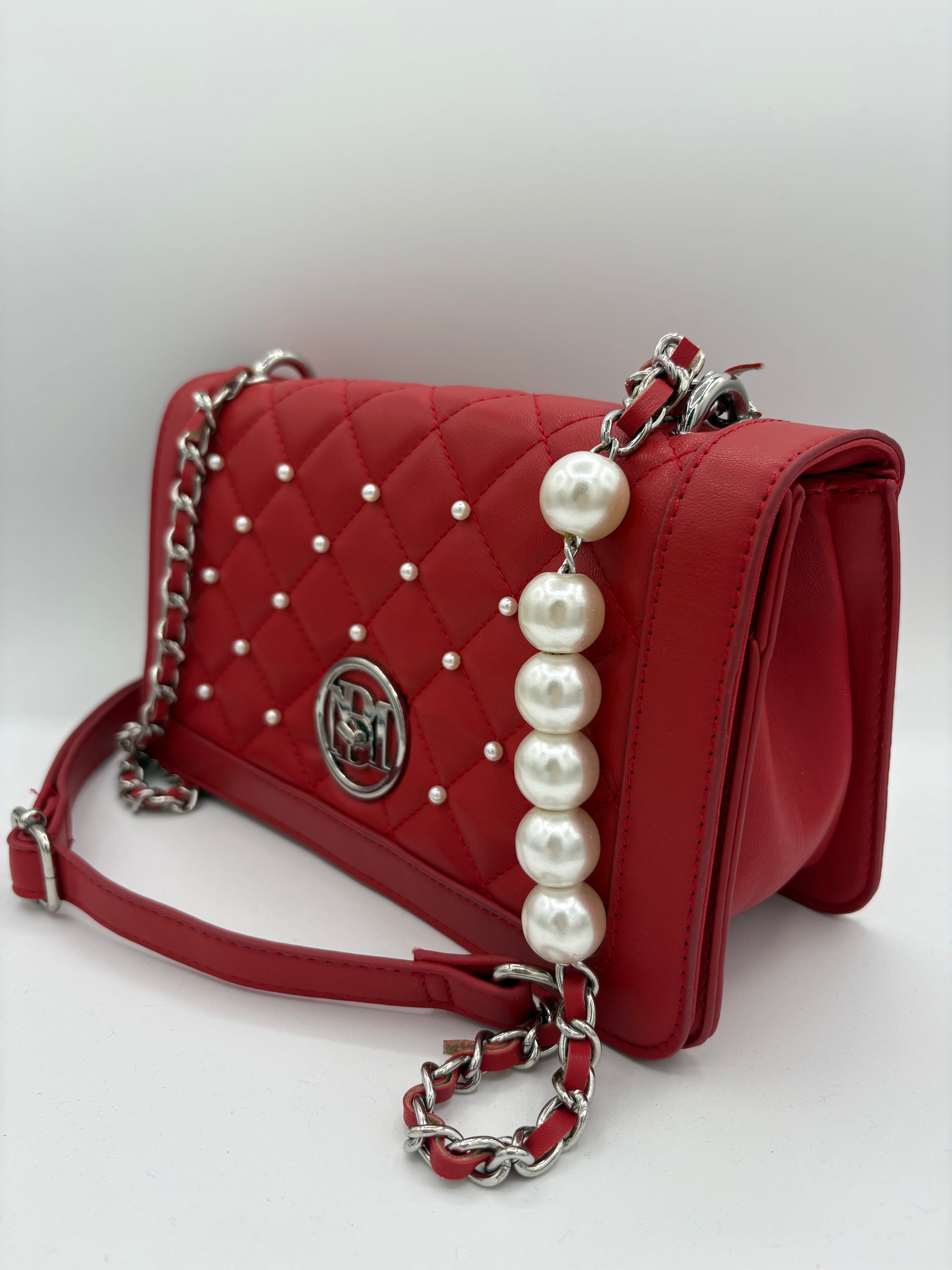 Badgley Mischka Large Crossbody Bag